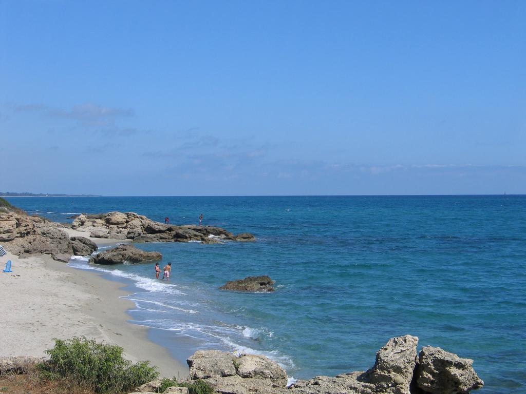 Le Clos Des Arbousiers Linguizzetta Dış mekan fotoğraf