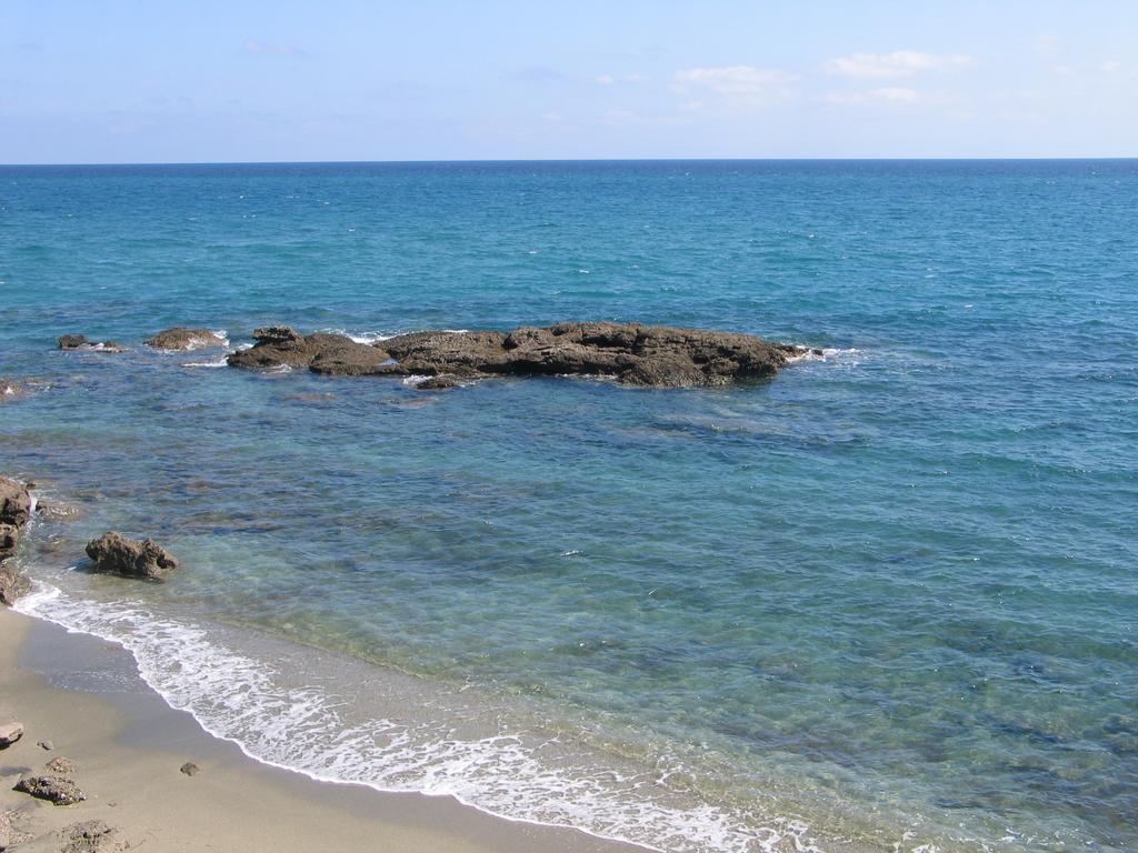 Le Clos Des Arbousiers Linguizzetta Dış mekan fotoğraf