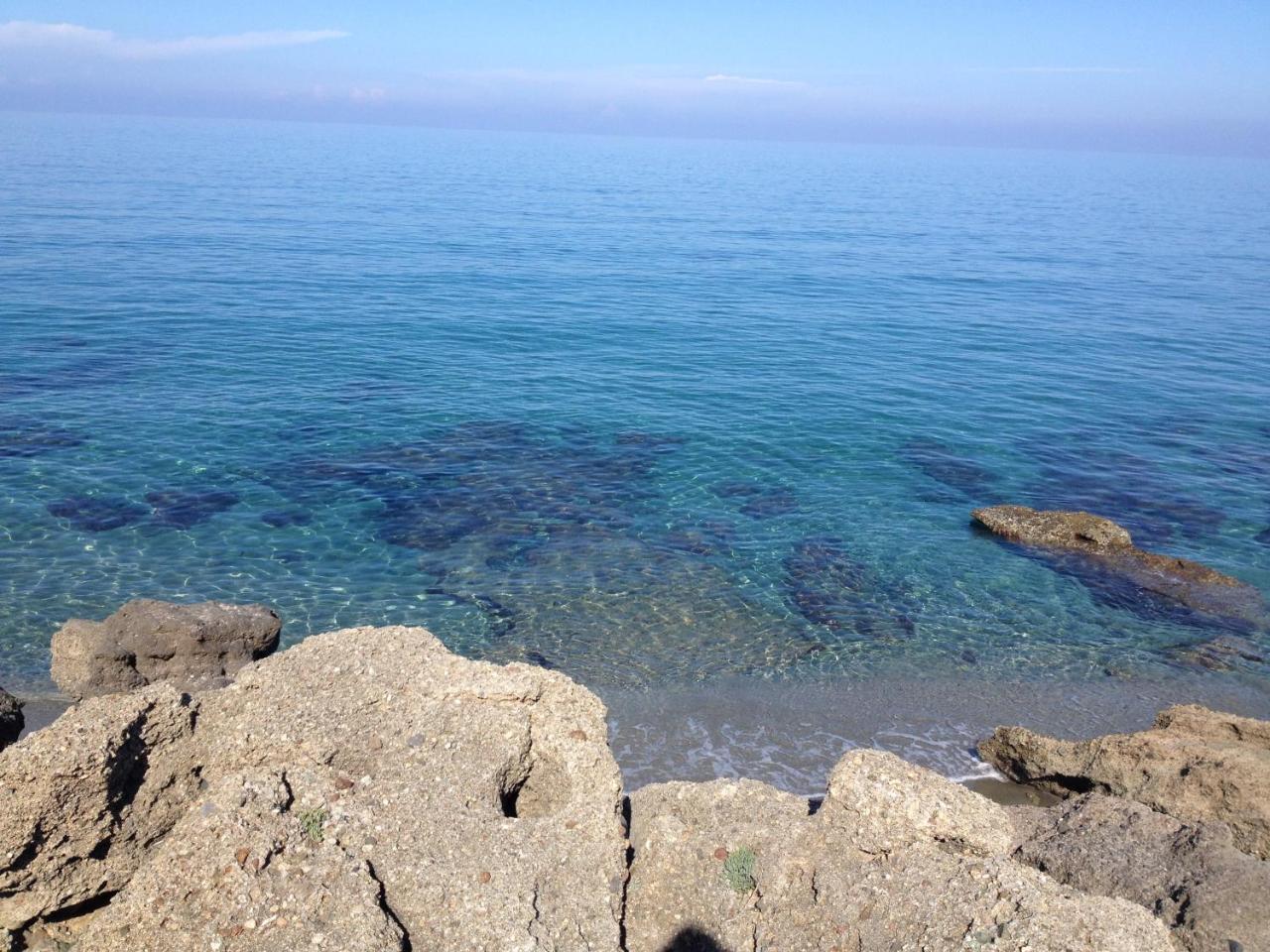 Le Clos Des Arbousiers Linguizzetta Dış mekan fotoğraf
