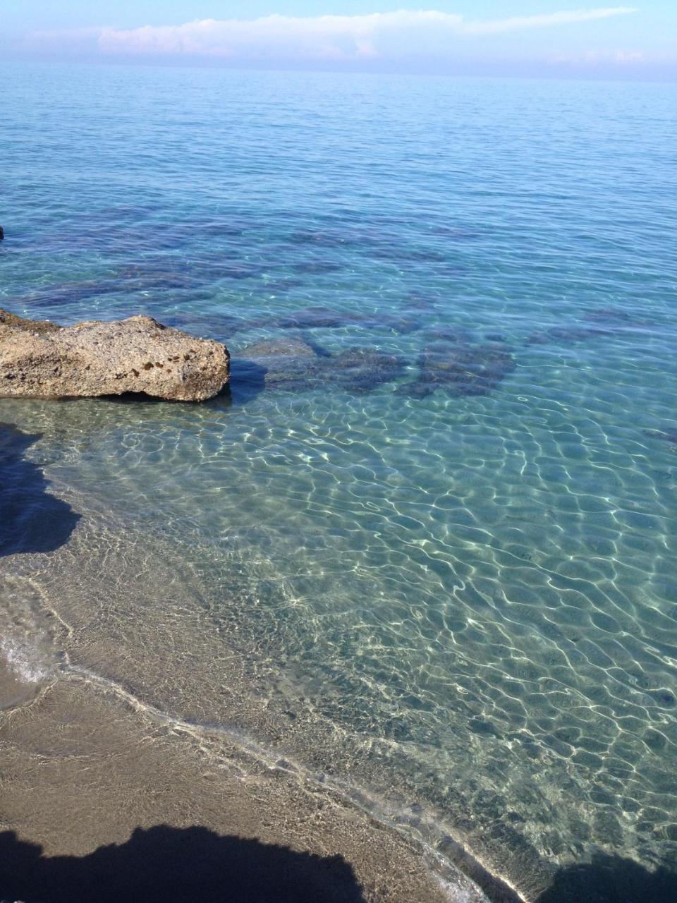Le Clos Des Arbousiers Linguizzetta Dış mekan fotoğraf